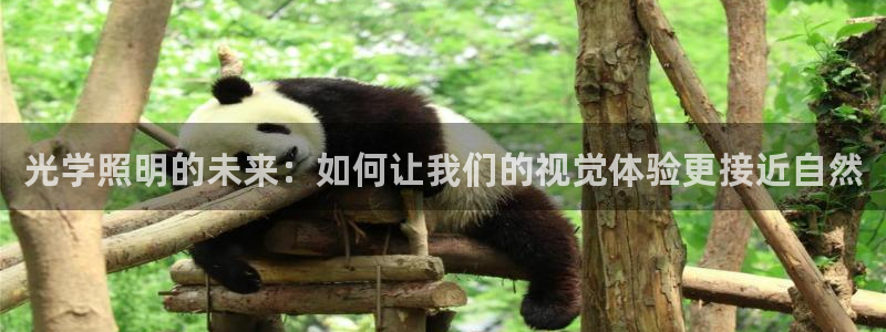 光学照明的未来：如何让我们的视觉体验更接近自然