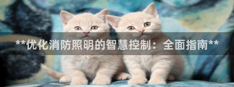 **优化消防照明的智慧控制：全面指南**