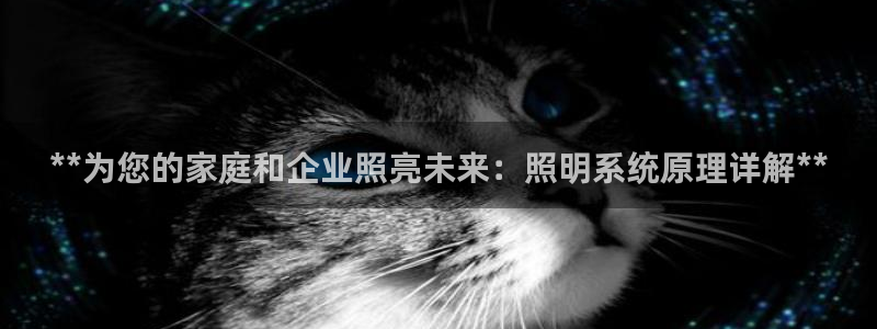 **为您的家庭和企业照亮未来:照明系统原理详解**