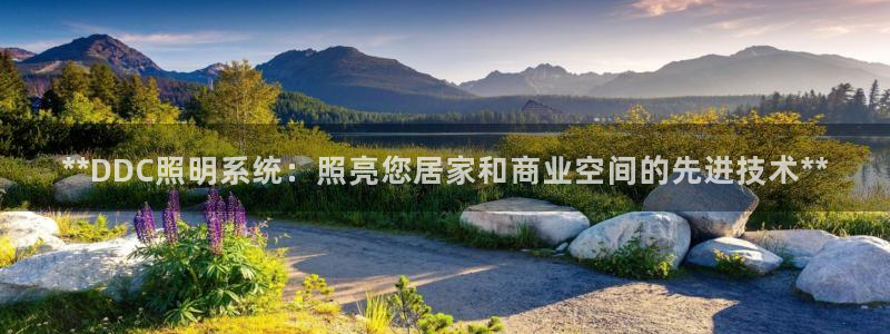 **DDC照明系统:照亮您居家和商业空间的先进技术**