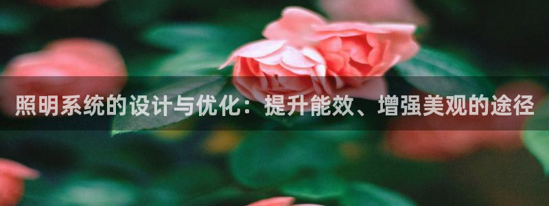 照明系统的设计与优化：提升能效、增强美观
