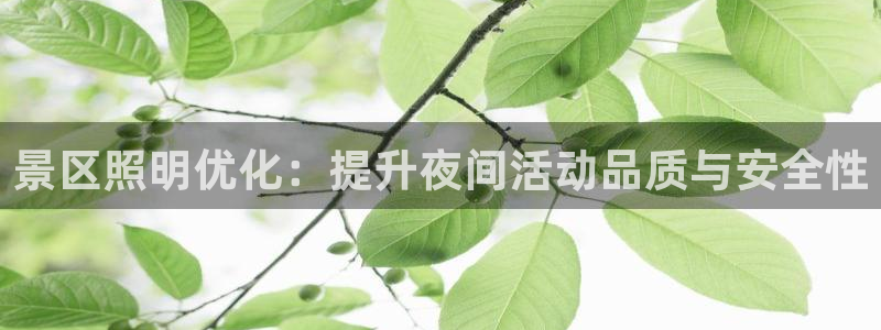景区照明优化：提升夜间活动品质与安全性