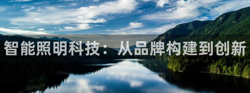 智能照明科技：从品牌构建到创新