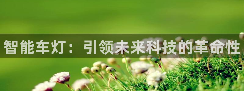 智能车灯：引领未来科技的革命性