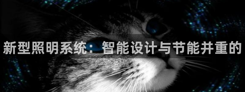 新型照明系统：智能设计与节能并重的