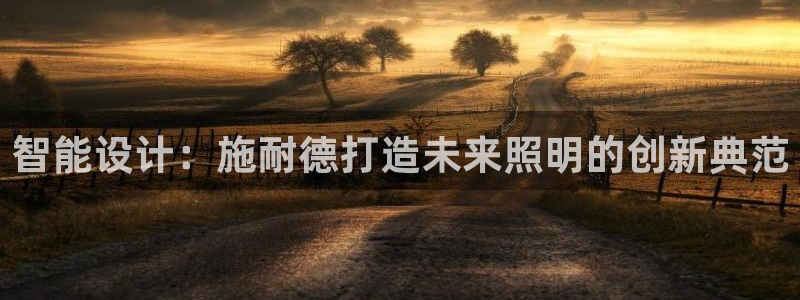 智能设计:施耐德打造未来照明的创新典范