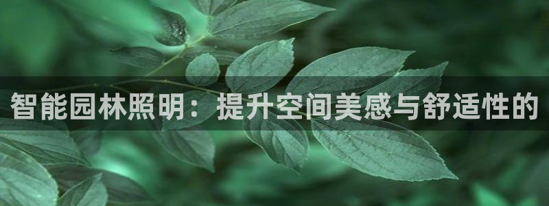 智能园林照明：提升空间美感与舒适性的