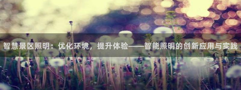 智慧景区照明：优化环境，提升体验——智能照明的创新应用与实践