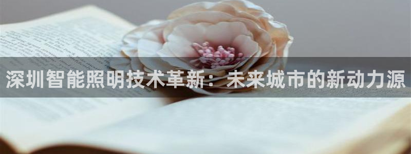 深圳智能照明技术革新:未来城市的新动力源