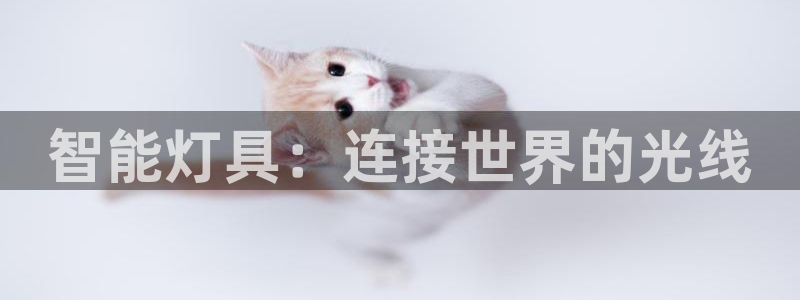 智能灯具：连接世界的光线