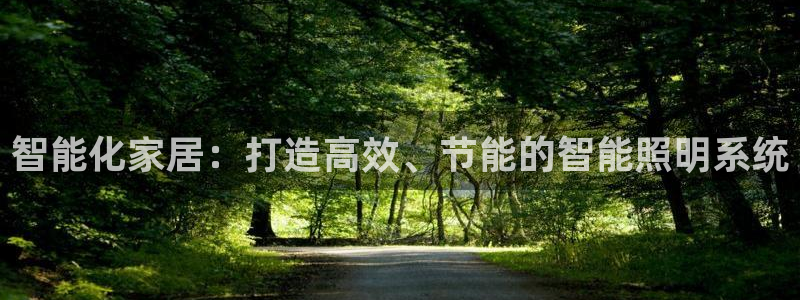智能化家居：打造高效、节能的智能照明系统