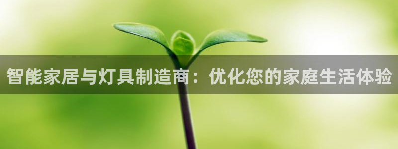 智能家居与灯具制造商：优化您的家庭生活体