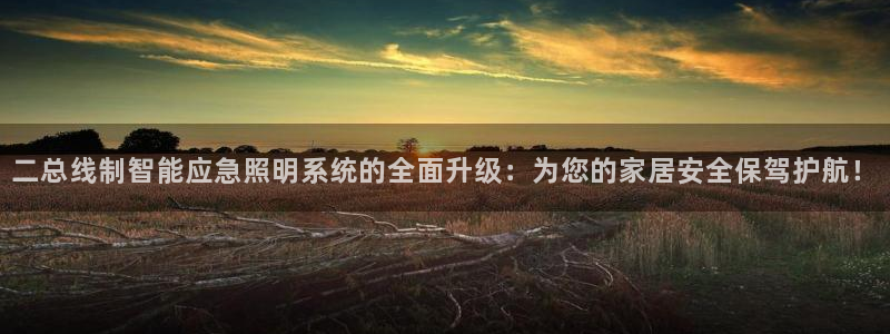 二总线制智能应急照明系统的全面升级：为您的家居安全保驾护航！