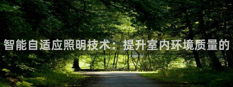 智能自适应照明技术:提升室内环境质量的