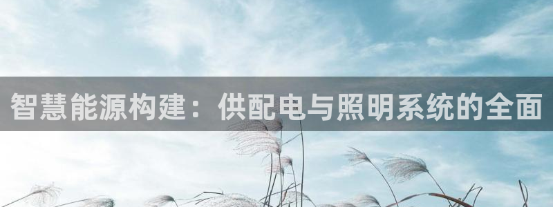 智慧能源构建：供配电与照明系统的全面