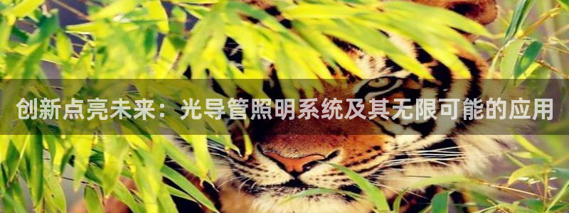 创新点亮未来：光导管照明系统及其无限可能