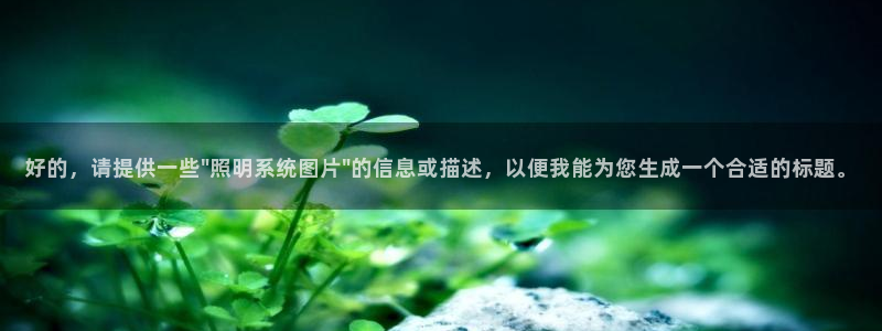 好的，请提供一些\
