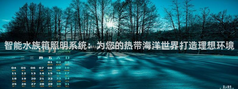 智能水族箱照明系统：为您的热带海洋世界打造理想环境