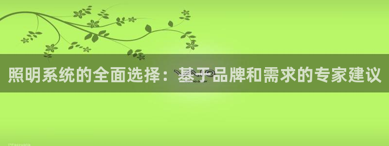 照明系统的全面选择:基于品牌和需求的专家建议