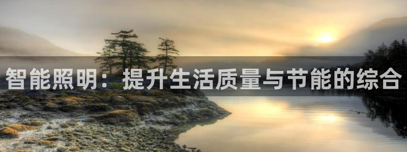 智能照明：提升生活质量与节能的综合