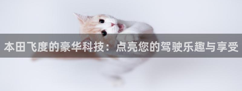 本田飞度的豪华科技：点亮您的驾驶乐趣与享受