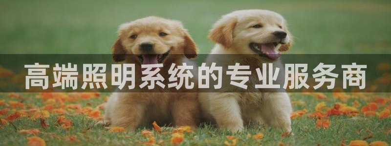 高端照明系统的专业服务商