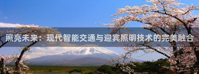 照亮未来：现代智能交通与迎宾照明技术的完美融合