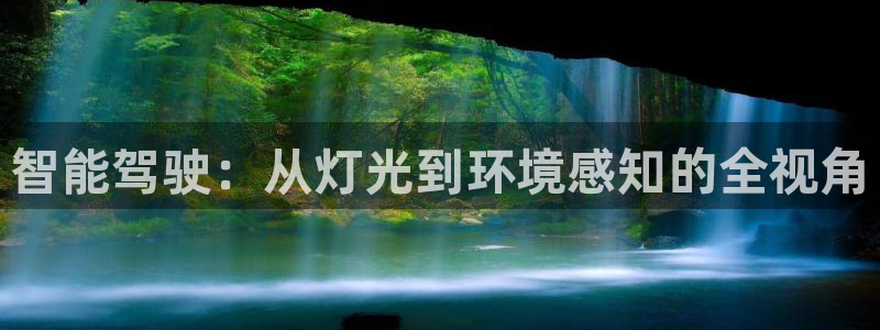 智能驾驶：从灯光到环境感知的全视角