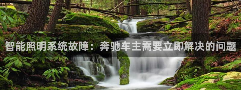 智能照明系统故障：奔驰车主需要立即解决的问题