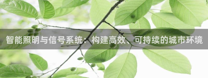 智能照明与信号系统：构建高效、可持续的城市环境