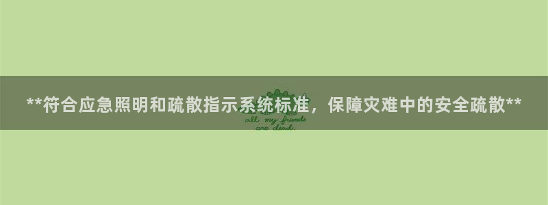**符合应急照明和疏散指示系统标准，保障灾难中的安全疏散**
