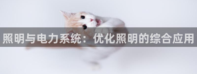 照明与电力系统：优化照明的综合应用
