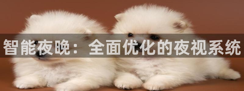 智能夜晚：全面优化的夜视系统