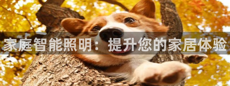 家庭智能照明：提升您的家居体验