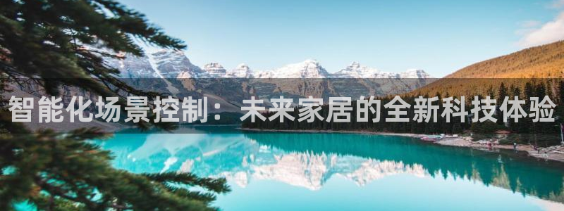 智能化场景控制：未来家居的全新科技体验