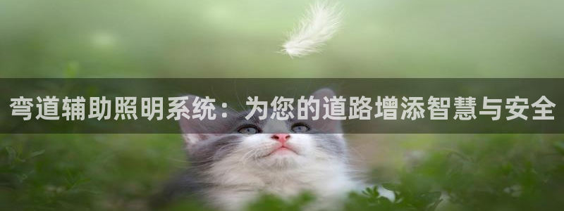 弯道辅助照明系统：为您的道路增添智慧与安全