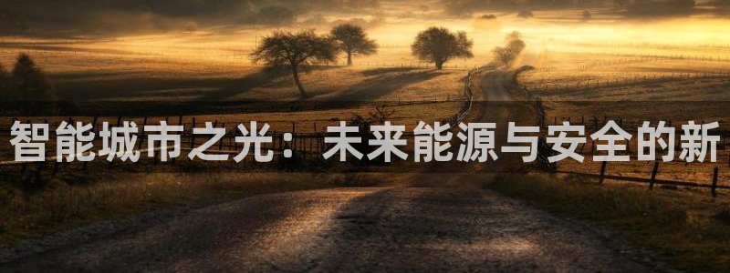 智能城市之光：未来能源与安全的新