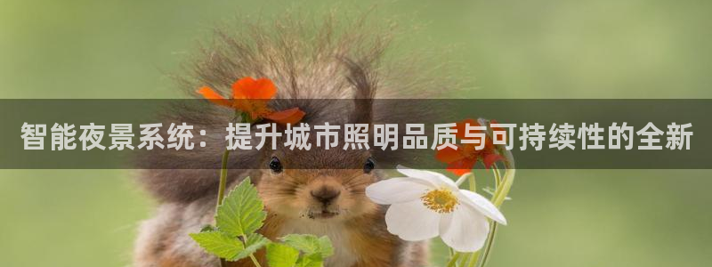智能夜景系统：提升城市照明品质与可持续性的全新
