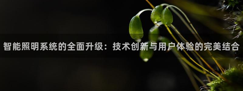 智能照明系统的全面升级：技术创新与用户体验的完美结合