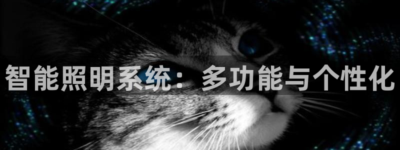 智能照明系统：多功能与个性化