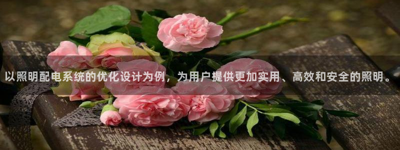 以照明配电系统的优化设计为例，为用户提供更加实用、高效和安全的照明。