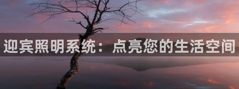 迎宾照明系统：点亮您的生活空间