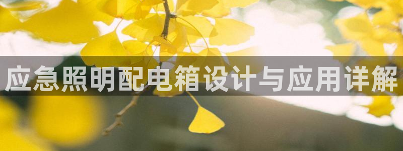 应急照明配电箱设计与应用详解