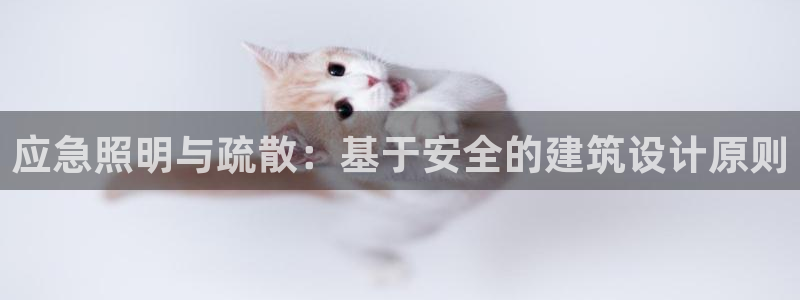 应急照明与疏散：基于安全的建筑设计原则