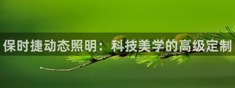 保时捷动态照明：科技美学的高级定制