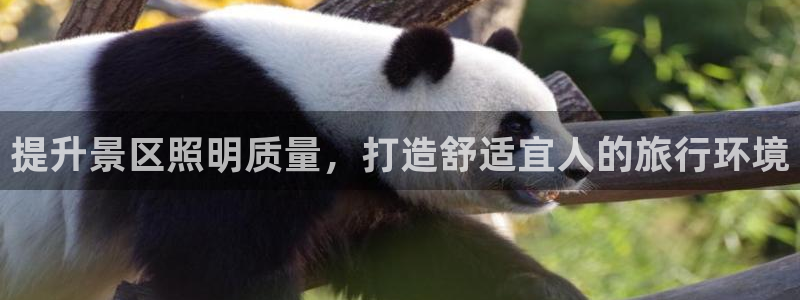 提升景区照明质量，打造舒适宜人的旅行环境