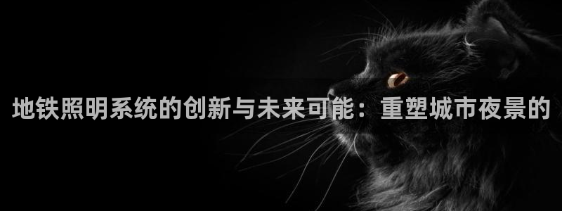 地铁照明系统的创新与未来可能：重塑城市夜景的