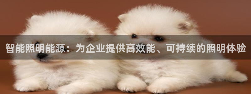 智能照明能源：为企业提供高效能、可持续的照明体验