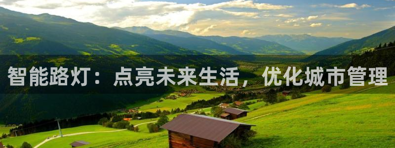 智能路灯：点亮未来生活，优化城市管理