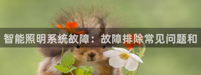 智能照明系统故障：故障排除常见问题和